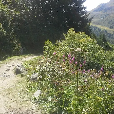 普兰克罗一室公寓