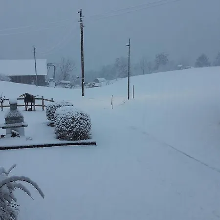 Studio Le Plan Clou Apartment Arbaz