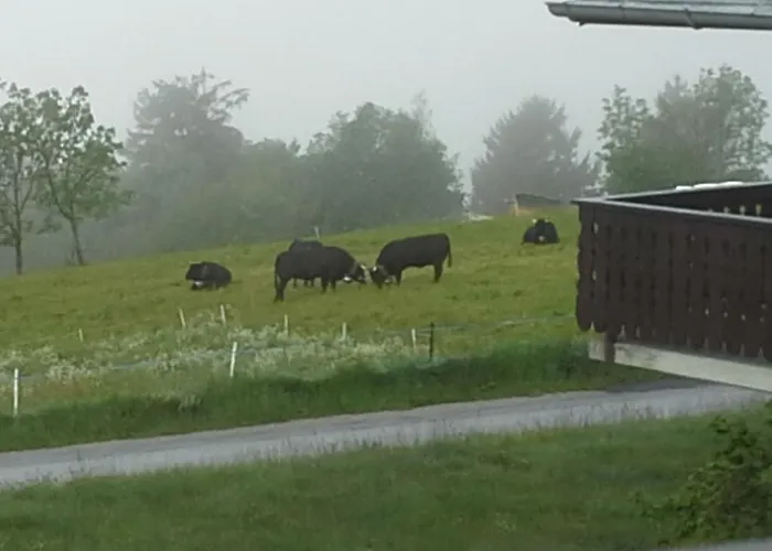 Lägenhet Le Plan Clou Arbaz