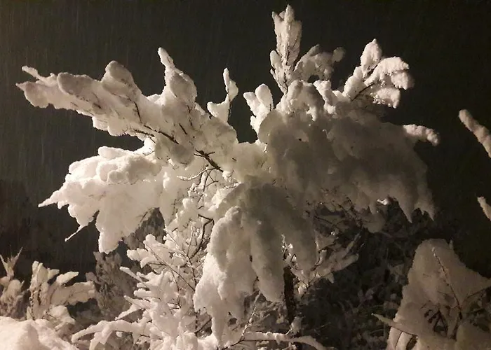 Le Plan Clou Διαμέρισμα Arbaz